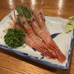 大衆居酒屋魚さんこ - ◆シマエビ刺4尾（600円）