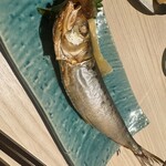 酒呑処 シンメ 新橋 - 