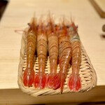 鮨 江藤 - 今日は五人で