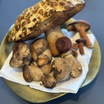 プレゼンテ スギ - 