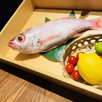 のどぐろ専門 銀座 中俣 - 