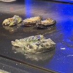 大阪 京橋 鉄板焼 ステーキ 玄牛 - アワビを焼いています