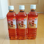 ディオ - 烏龍茶 500ml (税抜)37円×3本 (2025.03.09)