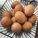 三嶋製麺所 - かご盛り卵