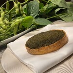 スガラボヴィー - 