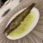 スガラボヴィー - 