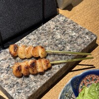 始祖鳥 - 