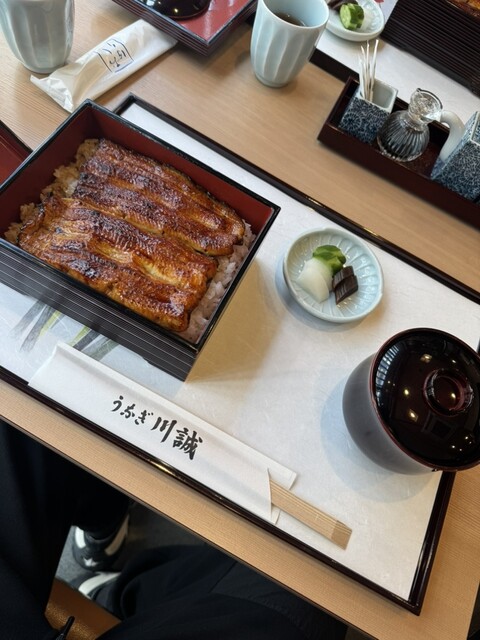 Unagi Kawa Sei