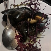 トラットリア ゴデレッチョ エビス 恵比寿 - 