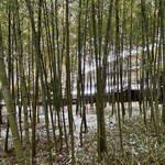 ロペ倶楽部 和食レストラン - 