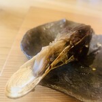 柚木元 - ⑧【鉢肴-3】
      真鴨の頭焼き：テローンとしているのがタン