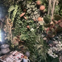 Shangri-La's secret ROPPONGI - 