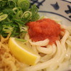 瀬戸うどん - 料理写真:明太醤油うどん拡大