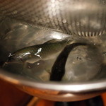 くろぎ - 琵琶湖産 若鮎