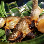 くろぎ - 焼物 若鮎 塩焼き二丁