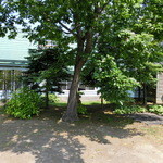 ニッカ会館レストラン 樽 - 竹鶴邸