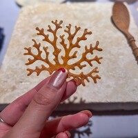 日本のイタリア料理店 sai - 