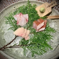 魚坐 - 