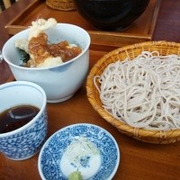 とんかつ & 焼鳥 An - 冷やしさらしな