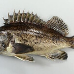 魚屋の居酒屋 活々水産 - 