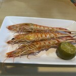 居酒屋 松乃屋 - 