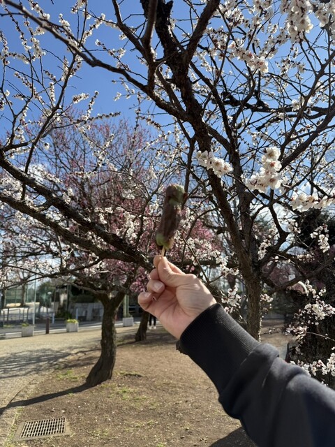 Kyo Azuma Matsubara Ten