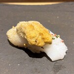 鮨処 池上 - アオリイカと北海道の紫雲丹