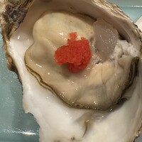 魚竹 - 