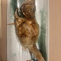 のどぐろの中俣 新橋 - 