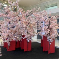 サザンタワーダイニング - 