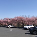 一夜城 ヨロイヅカ・ファーム - 