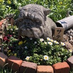 一夜城 ヨロイヅカ・ファーム - 