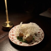 THE CONDER HOUSE -  THE CONDER HOUSE -