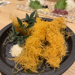 鴨ときどき馬 - 