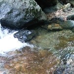 蕎麦十九 夢玄 - 清流