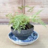 飯田 - 