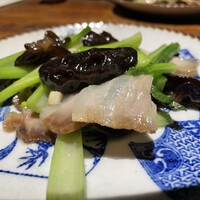 雪梅花 菜根譚 - 