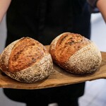 オステリア ティーポゼロゼロ - 