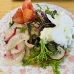 野菜レストラン ショウナン - サラダバーの野菜たち