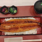 清流うなぎ 月島 池袋店 - 