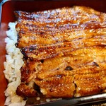 藍の家 - 鰻アップ