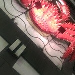 札幌 かに本家 - 