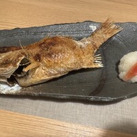 のどぐろの中俣 新橋 - 