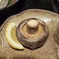 かんない 諸星 - 