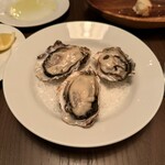 デ・ソト・バール・ノザキ - 