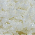 お米場田心 日本橋三越本店 - 龍の瞳