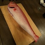 デ・ソト・バール・ノザキ - 