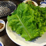 明洞館 - サンチュ