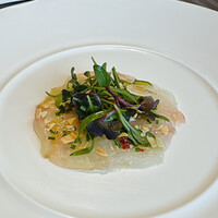 IL PINOLO 銀座 - 