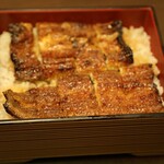 289697882 - 未来鰻重